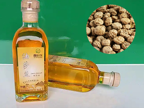 油莎豆生产线解决方案