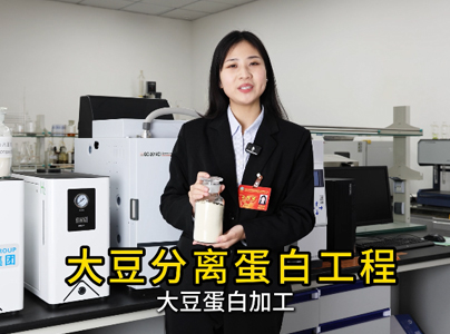 产品视频|大豆分离蛋白生产工艺及提取设备