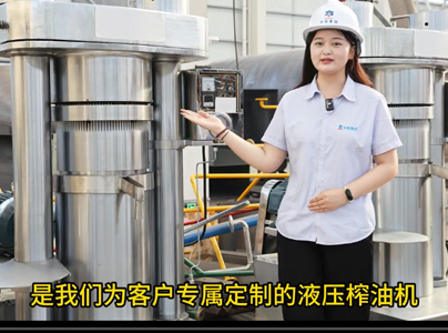 产品视频|液压榨油机大型榨油设备
