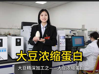 产品视频|大豆浓缩蛋白生产工艺及提取设备