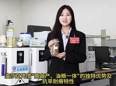 产品视频|油莎豆油生产成套设备
