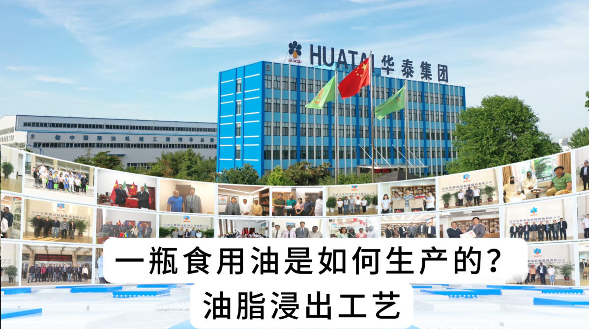 一瓶食用油是如何生产的？油脂浸出工艺详细介绍