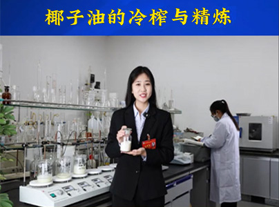 产品视频|椰子油冷榨精炼生产线