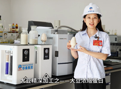 产品视频|大豆蛋白提取生产工艺及设备
